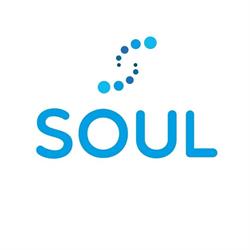 SOUL S.R.L.