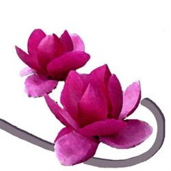 Bioprofumeria Magnolia
