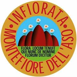 Associazione Infiorata Montefiore dell'Aso
