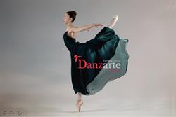 Formazione Danzarte Genova ASD