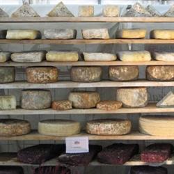La Formaggeria Roma