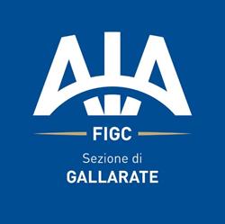 A.I.A. SEZIONE DI GALLARATE