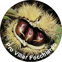 Associazione Pro Villar Focchiardo
