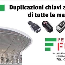 Fucci 2.0