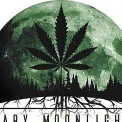 Mary Moonlight Official Point Torino Vanchiglia - Cannabis Light Torino
