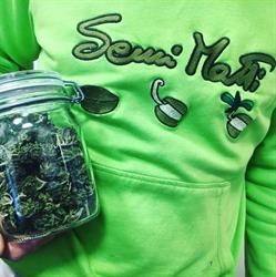 Semi Matti grow shop varese