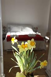 B&B Lotus