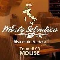 Il Mosto Selvatico