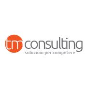 Ti.Emme. Consulting srl