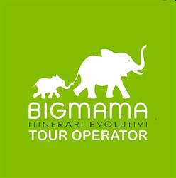Bigmama - Itinerari Evolutivi