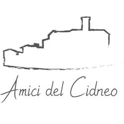 Amici del Cidneo Onlus