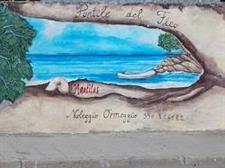 Nautilus S.n.c. Pontile del Fico