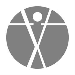 Vitruvio Consulting