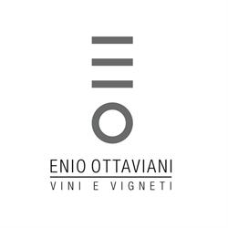 Enio Ottaviani vini e vigneti
