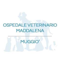 Clinica Veterinaria Maddalena