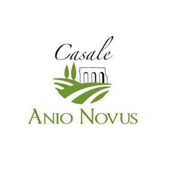 CASALE ANIO NOVUS