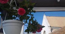 B&b Il Nido delle Rondini
