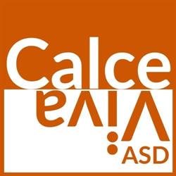 Calce Viva Aps