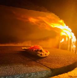 La maison de la pizza