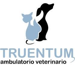 Ambulatorio Veterinario "Truentum"
