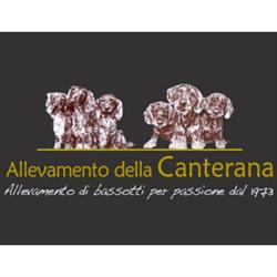 Allevamento Bassotti della Canterana