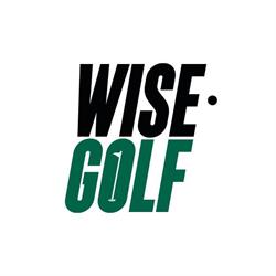 Gruppo WISE