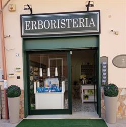 Erboristeria Moringa