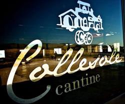 Cantine Collesole srl