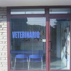 Ambulatorio veterinario dott. Emiliano Costamagna