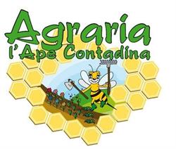 Agraria Ape Contadina
