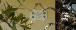 B&B Bell'Ulivo