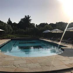 Agriturismo La Limonaia