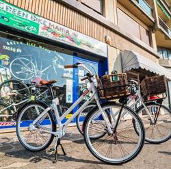 Green Bike Mania