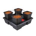 WILMA GROWSYSTEM 4 LARGE X11L)