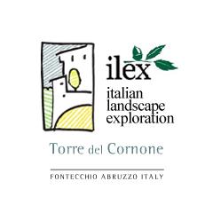 Casa Torre del Cornone