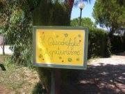 Agriturismo il Quadrifoglio
