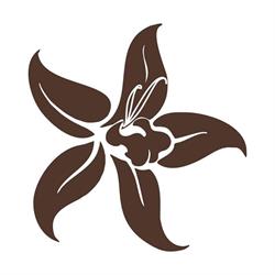 Vanilla la Boutique dei Golosi