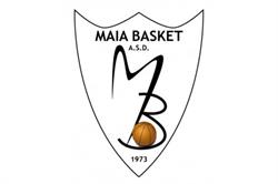 MAIA BASKET