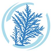 Coral's Garden srls