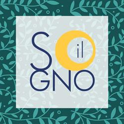 Il Sogno Aps