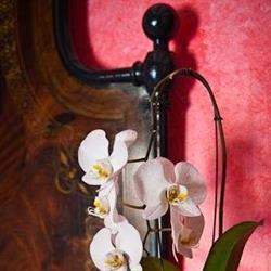 B&B ATTARTE