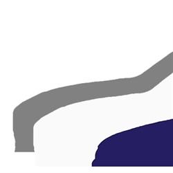 Trend Car