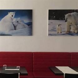 Ristorante Pizzeria Orso Bianco Giassai