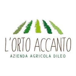L'Orto Accanto - Azienda Agricola Dileo