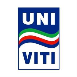 Univiti S.R.L.