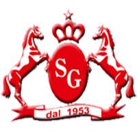 Salice Group