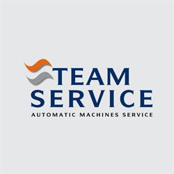 Team Service Srl