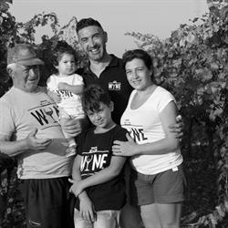 Tenute Gabellone Vini