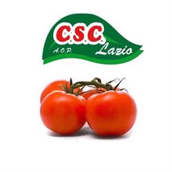 A.O.P. CSC LAZIO