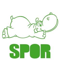 L'Ippopotamo - Spormaggiore